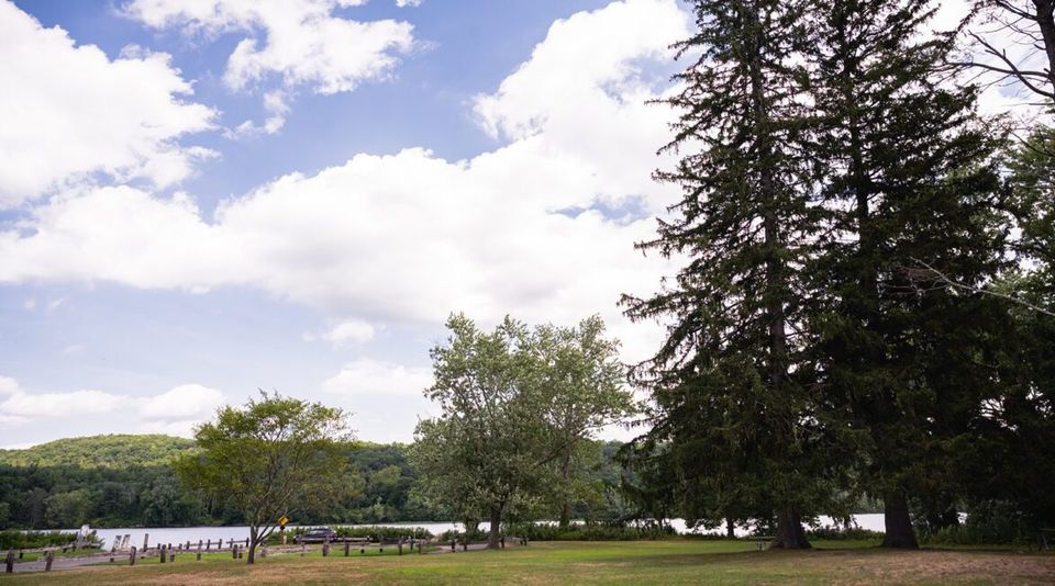 Open lawn and tall pine trees on the Haddam campus grounds, with water and hills in the distance