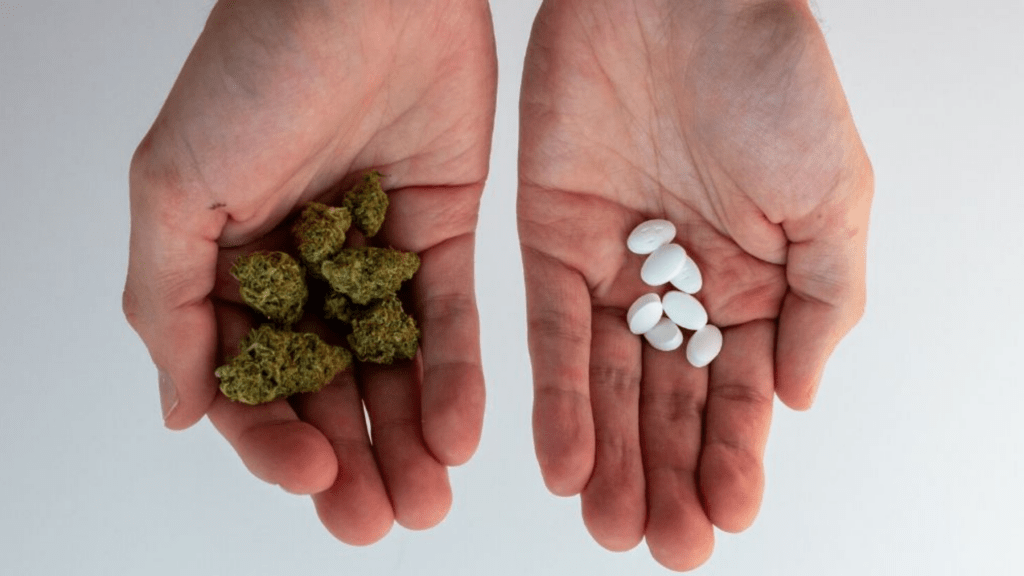 What Happens If You Mix Zoloft® And Weed? The Effects Of Drugs & Antidepressants