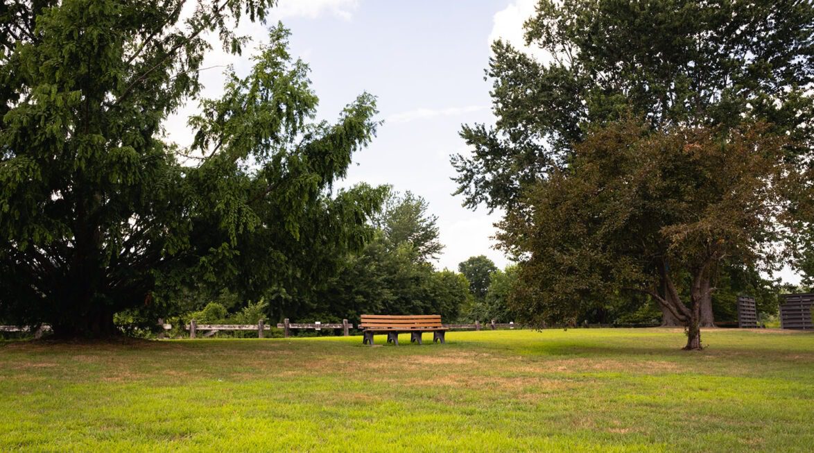 Bench Outside the Facility