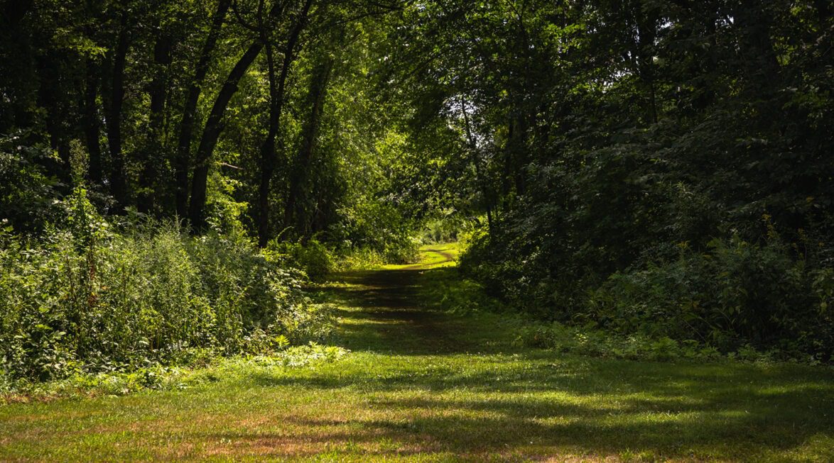 Paramount Wellness Retreat: Nature Outside the CT Facility