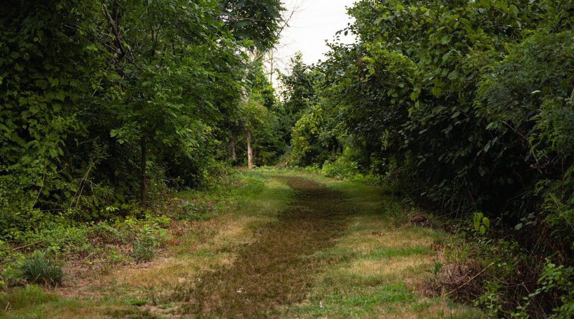 Natural Surroundings Beyond the Building