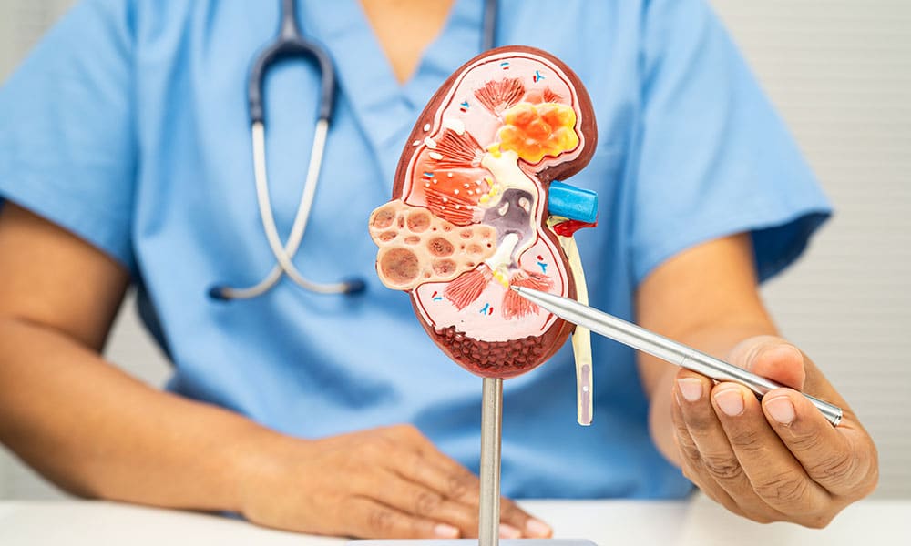 Clinical Implications for Use